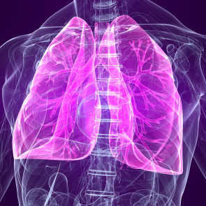 Diagnostika pneumothoraxu pomocí ultrazvuku Diagnostika pneumothoraxu pomocí ultrazvuku