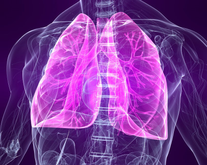 Diagnostika pneumothoraxu pomocí ultrazvuku