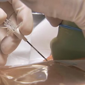 V. základní cadaver kurz ultrazvukem navigovaných intervencí v algeziologii: 18.-19. června 2026